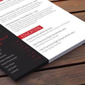 Professional Resume - Executive In Red